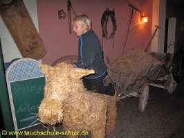 Abtauchen 2009 in Nordhausen