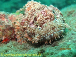 Thailand www.aqua-divers.de
