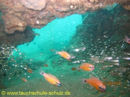 Thailand www.aqua-divers.de